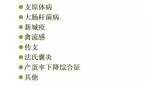 郝2.png