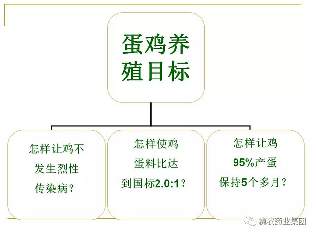 周2.png