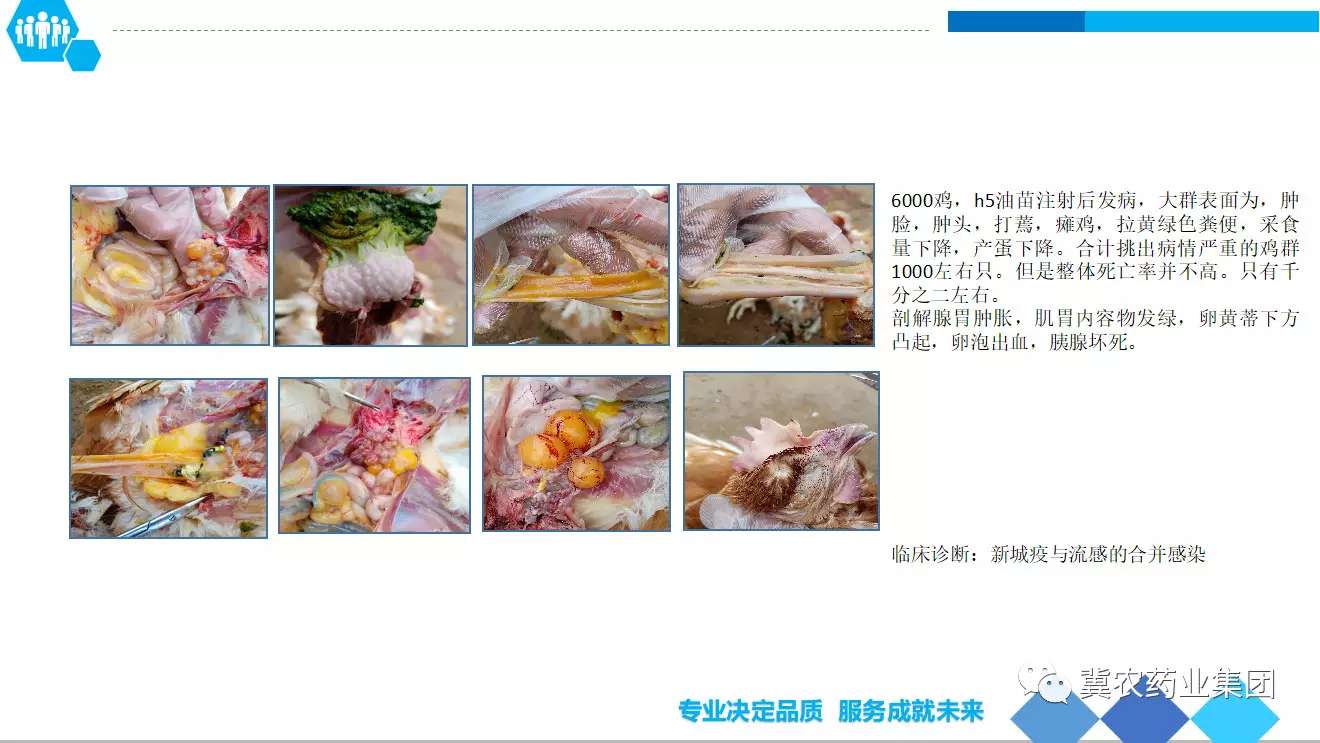 微信图片_20190506172750.jpg